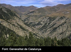 Capçaleres_Ter_1